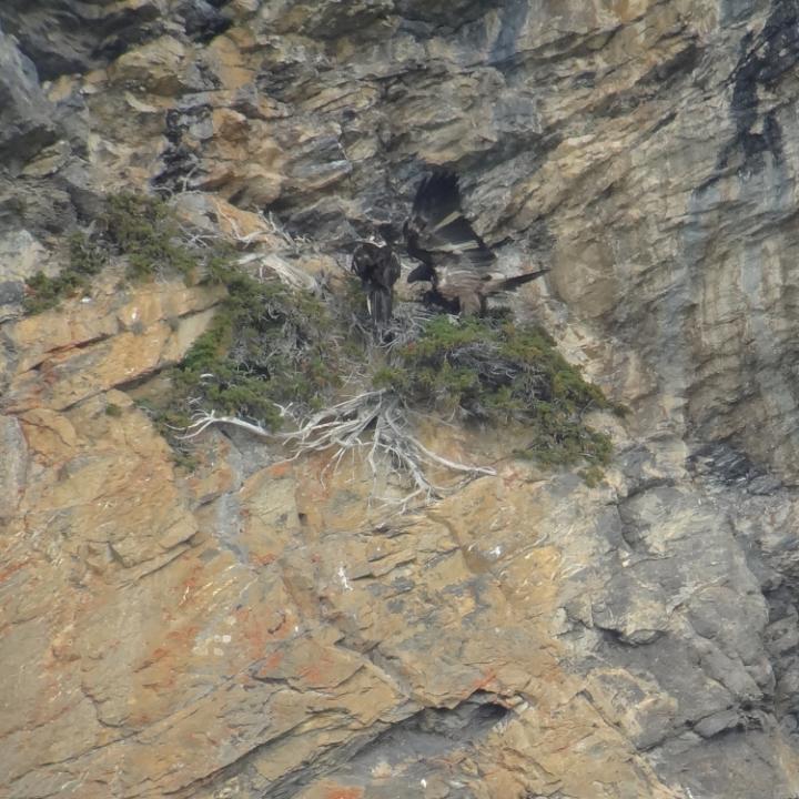 Alois (links) und Cierzo (rechts) auf dem kleinen Felsvorsprung