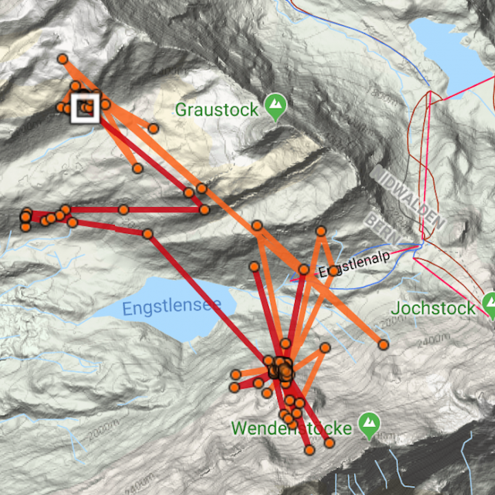 GPS-Daten von Finja (weisses Viereck entspricht der letzten Position)