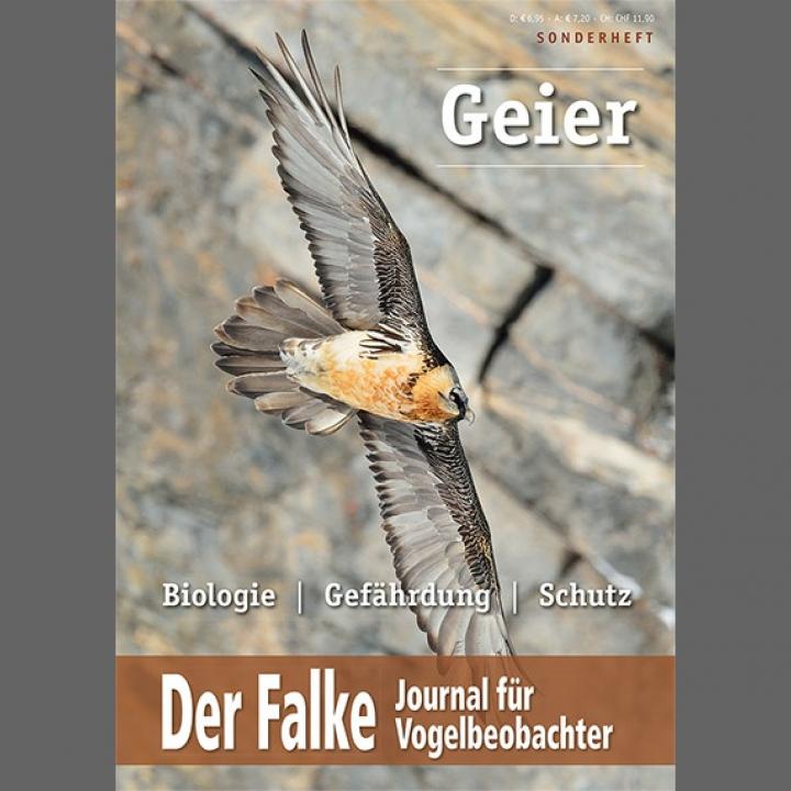 Der Falke: Sonderheft zum Thema 'Geier'