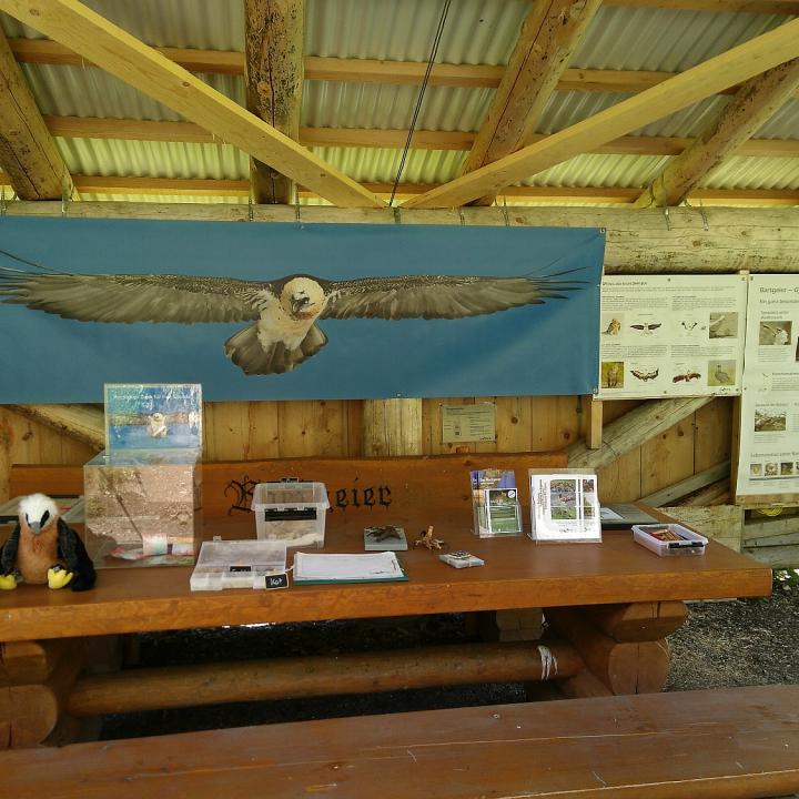 Der Infostand im Hengliboden