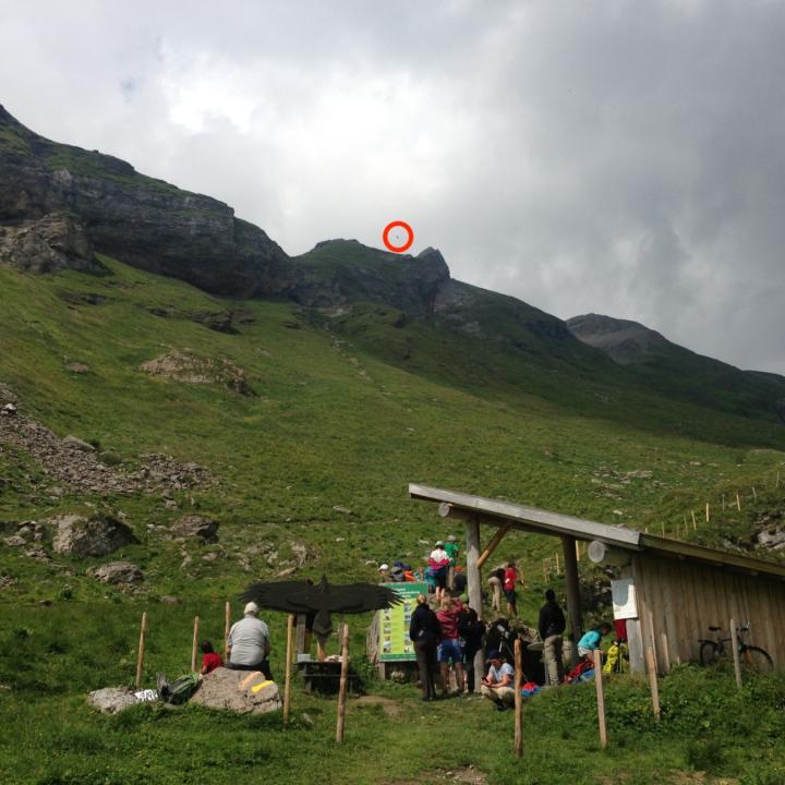 Die jungen Besucher hatten das Glück und konnten Fredueli beim Fliegen über dem Henglihorn beobachten