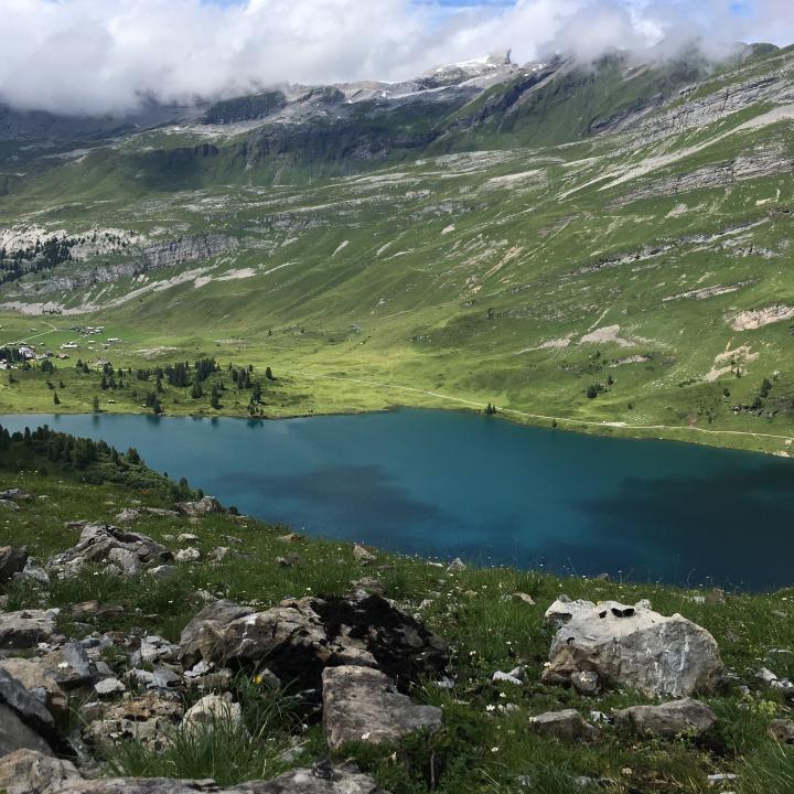 Fundort des Kadavers mit dem Engstlensee und dem Henglihorn im Hintergrund.