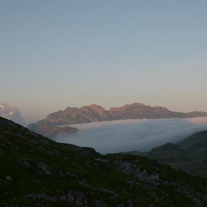 Nebel über dem Tannsee.