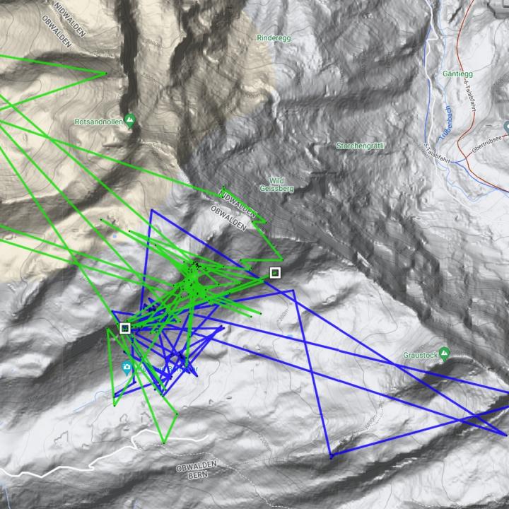 Karte mit den GPS-Daten von Obwaldera (grün), Marco (blau) vom 25. – 27. Juli