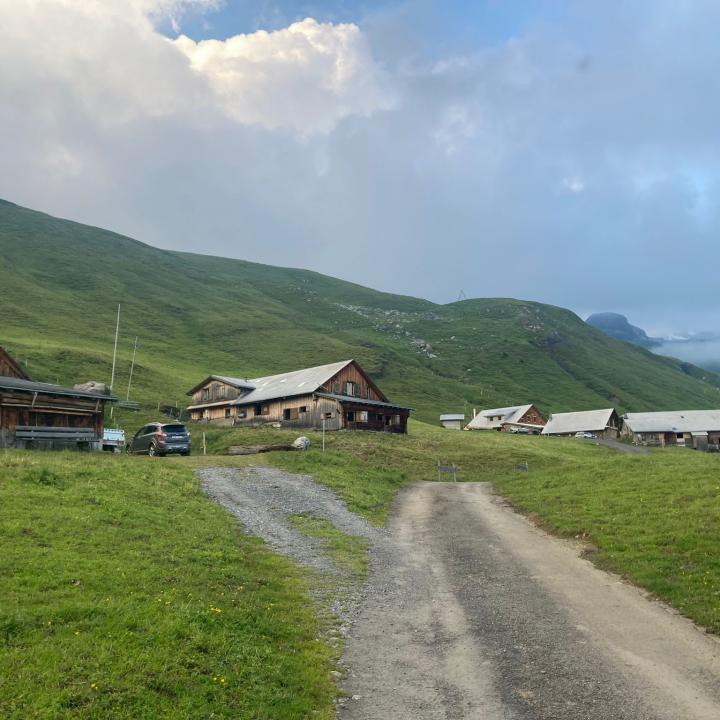 Heute treffen sich die Alpbewirtschafter zum Nachtessen mit dem Bartgeierteam auf der Tannalp