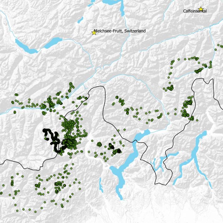 GPS Lokalisationen von Fredueli vom Januar und Februar 2019