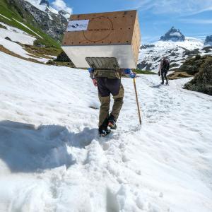 Die schweren Tragkisten müssen über Schneefelder hinweg zum Hengliboden getragen werden (c) Marco Leisi