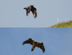 Dienstag, 15.07.2014