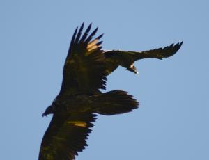 Dienstag, 22.07.2014