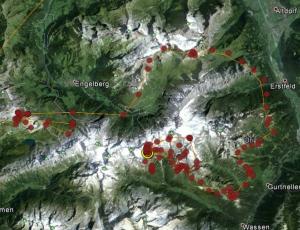 Flugroute von Schils von gestern. Am linken Bildrand bei den roten Kreisen wurde er freigelassen, bei dem gelben Kreis hat er übernachtet