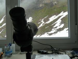 Blick aus dem Überwachungs-Container zur Bartgeier Nische