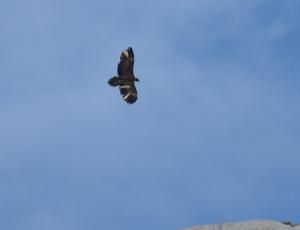 Alois bei seinem zweiten Flug