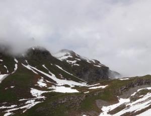 Nebel und Regen über dem Hengliboden! Unsere beiden Bartgeier haben das schlechte Wetter geduldig ausgesessen!