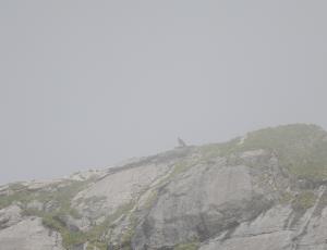 Johannes verschwindet mal wieder im Nebel