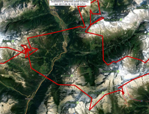 Ausschnitt der Flugroute von Bartgeier Johannes vom 17. und 18. August. Übernachtet hat er ganz rechts, nördlich von Disentis.