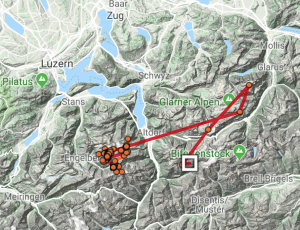 Karte mit den GPS-Daten der letzten 48h von Bartgeier Fredueli, wobei das weisse Viereck die letzte Position darstellt