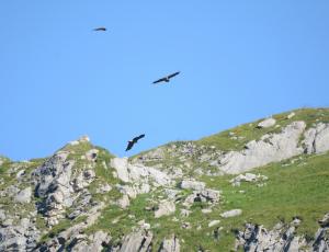 Finja, Fredueli und Johannes im Flug