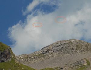 Fredueli und adulter Bartgeier im Flug – gekennzeichnet mit orangen Kreisen