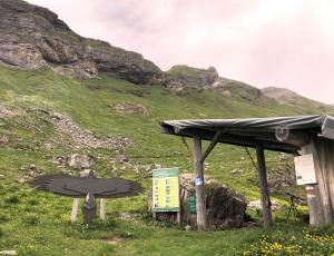 Der Infostand mit Silhouetten von Bartgeier, Steinadler und Kolkrabe und weiterem Informationsmaterial)