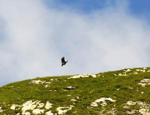 Obwaldera im Landeanflug