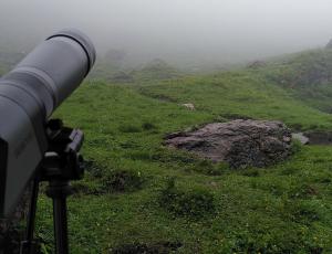 Oft mussten wir heute durch den Nebel Bartgeier und andere Wildtiere beobachten.