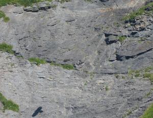 Nur der Schatten des fliegenden Bartgeiers ist sichtbar