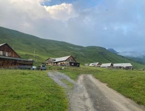 Heute treffen sich die Alpbewirtschafter zum Nachtessen mit dem Bartgeierteam auf der Tannalp