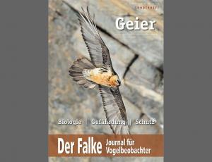 Der Falke: Sonderheft zum Thema 'Geier'