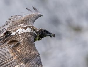 Auf in die Selbständigkeit (c)weyrichfoto.ch