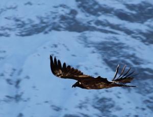 Ewolina bei Engelberg (c) Beat Gisin