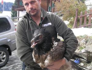 Noel-Leya kurz nach dem Einfangen mit dem Wildhüter Gieri Derungs