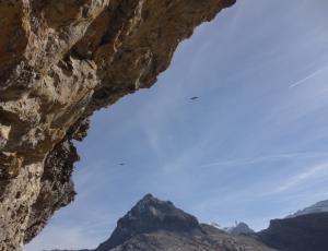 Finja und Fredueli bei der Auswilderungs-Nische