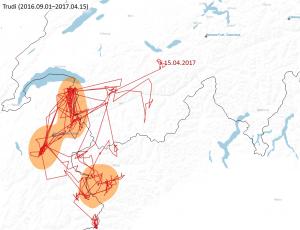 Streifzüge von Bartgeier Trudi seit dem letzten Herbst (c) Stiftung Pro Bartgeier