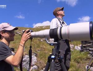 Schweiz aktuell: Auf Besuch beim Brutpaar Ofenpass