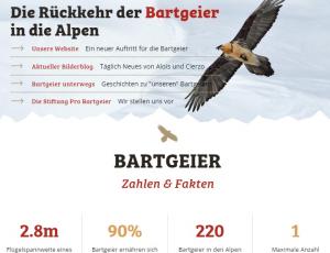 Neue Website für die Bartgeier!